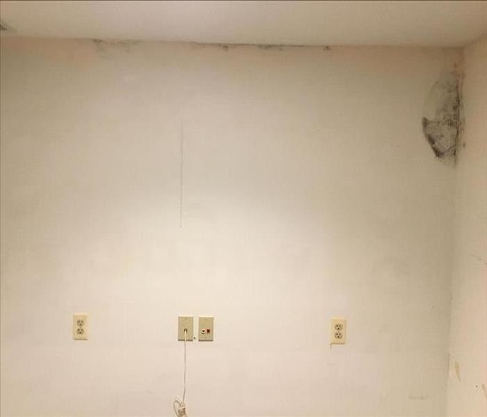This is an example of the effected walls with mold before we started the remediation.