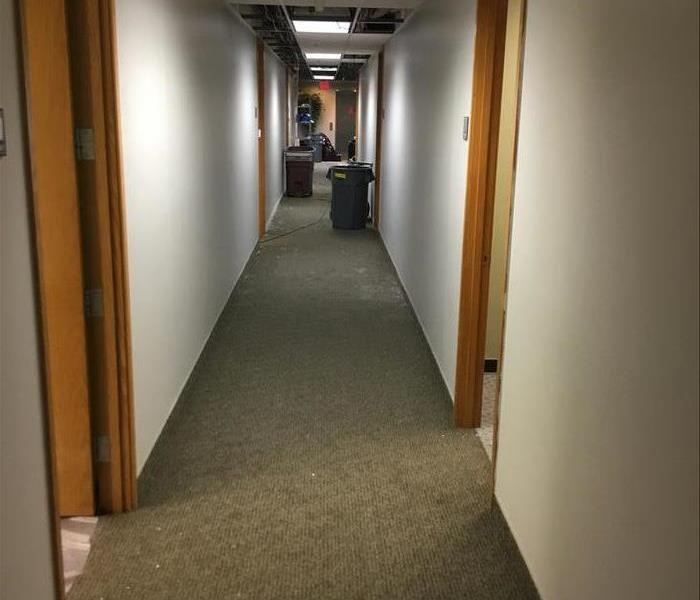 A Commercial Office Wallsway with Dirty Carpet