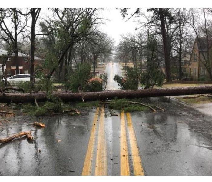 Trees Downed Across a Road After Storm Came Through